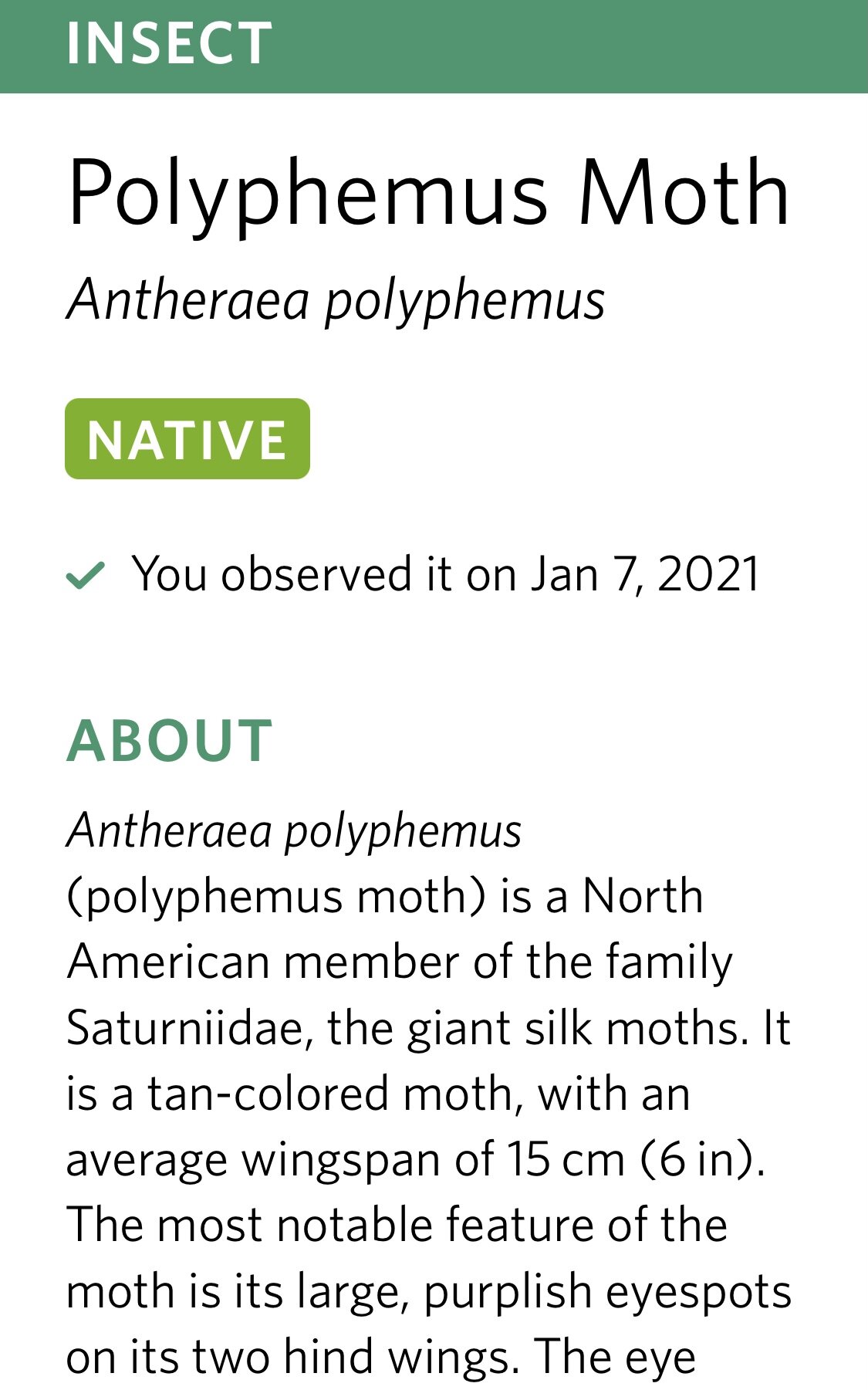 A screen shot from the app seek, a wonderful app for identifying species.