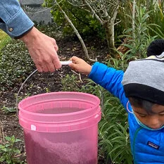 3 HANDS ON BUCKET SHOTSB488636D-0C11-4200-A8D0-FE9223E3097C_1_105_c-1.jpg