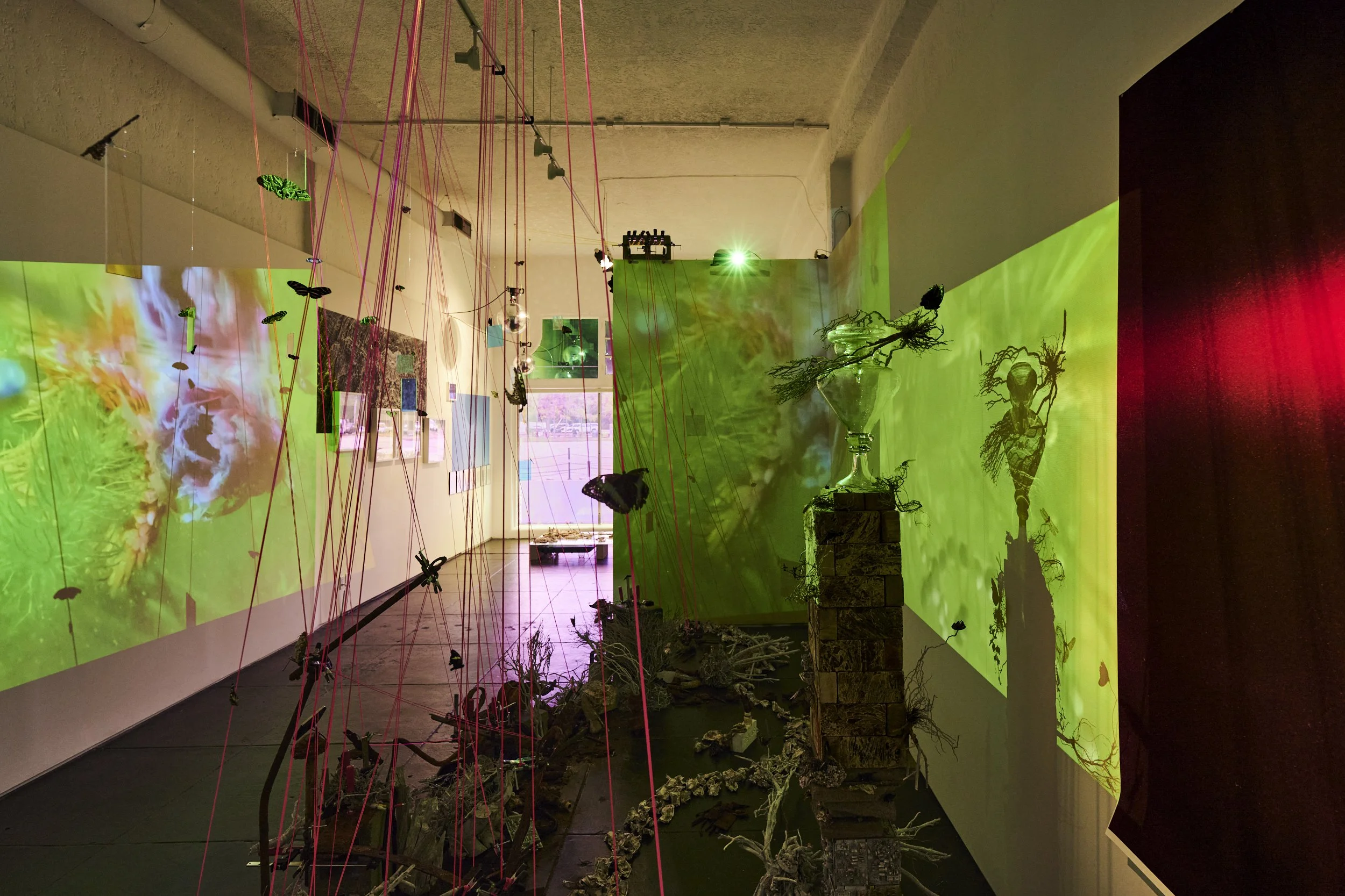 Throughline Collective_Potentia Actualitas_21.JPEG