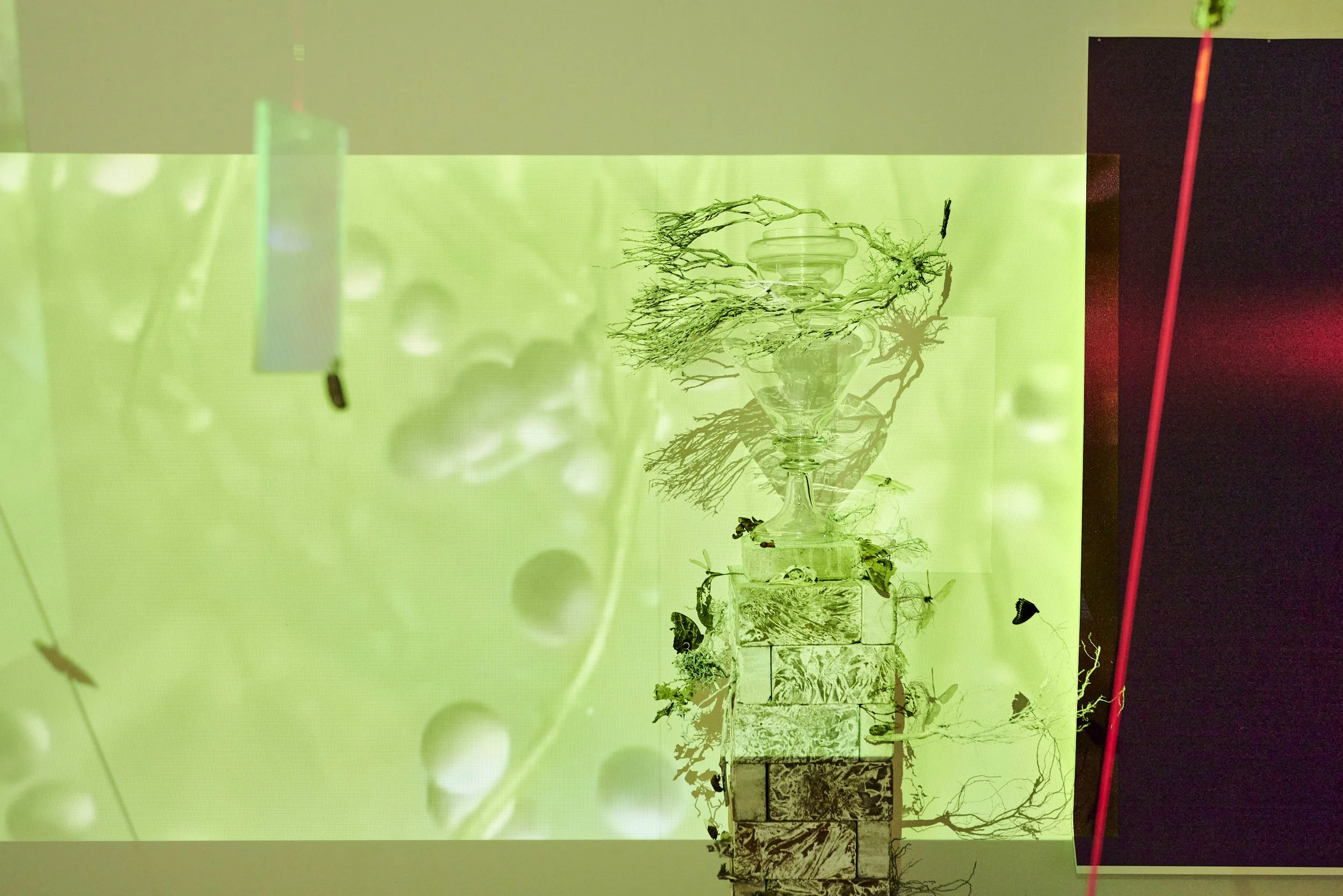 POTENTIA // ACTUALITAS