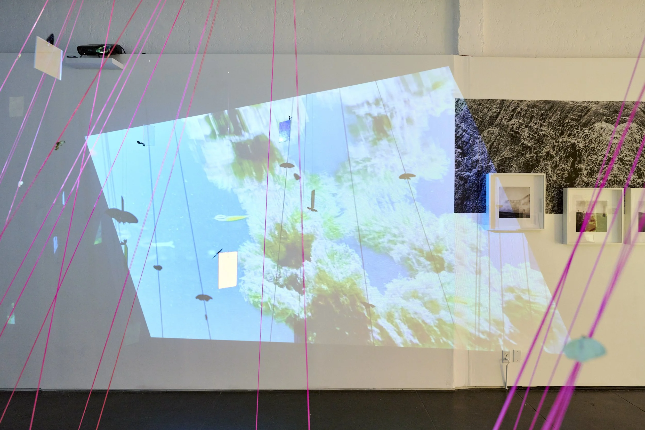 Throughline Collective_Potentia Actualitas_16.JPEG