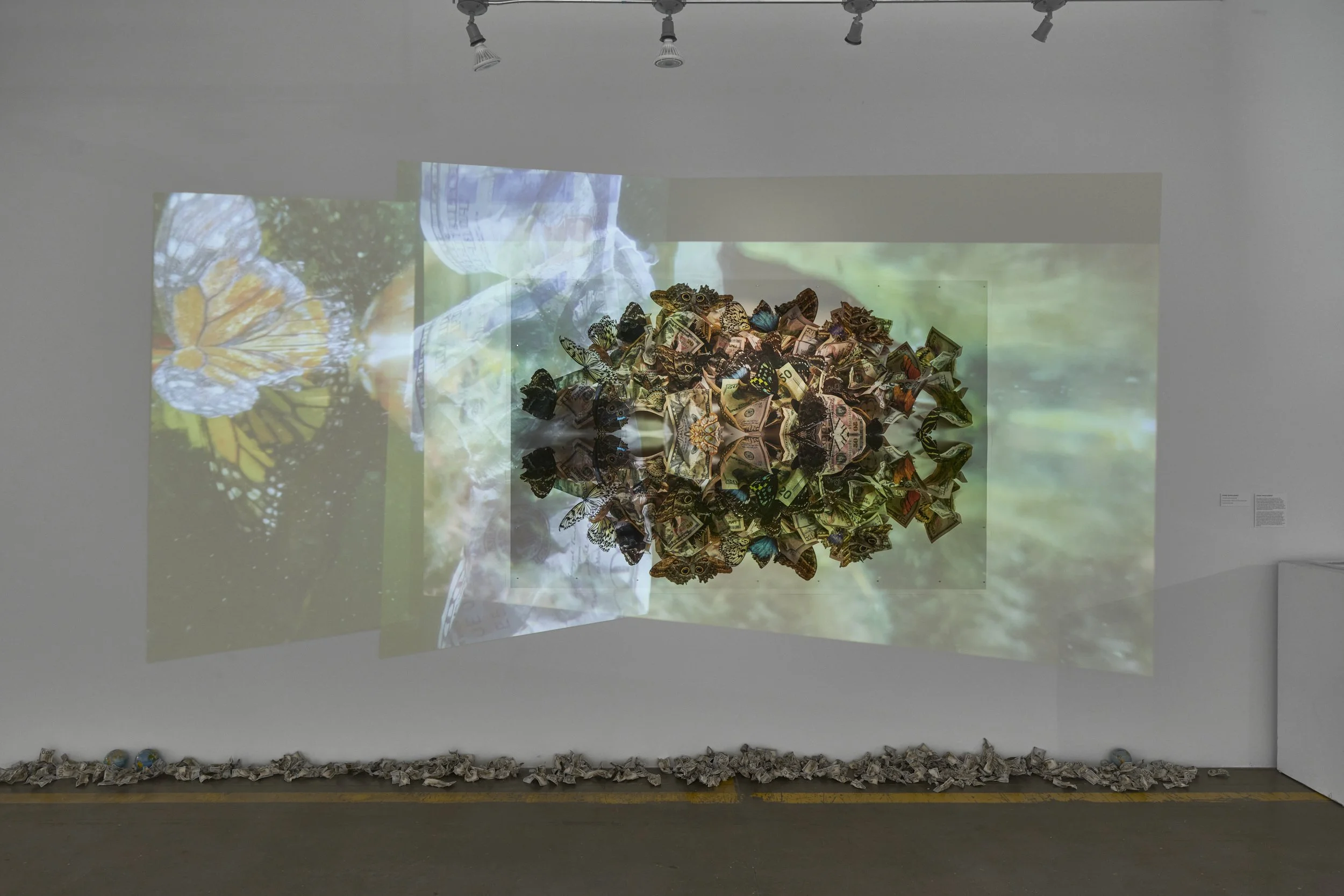 The Nature of Currency