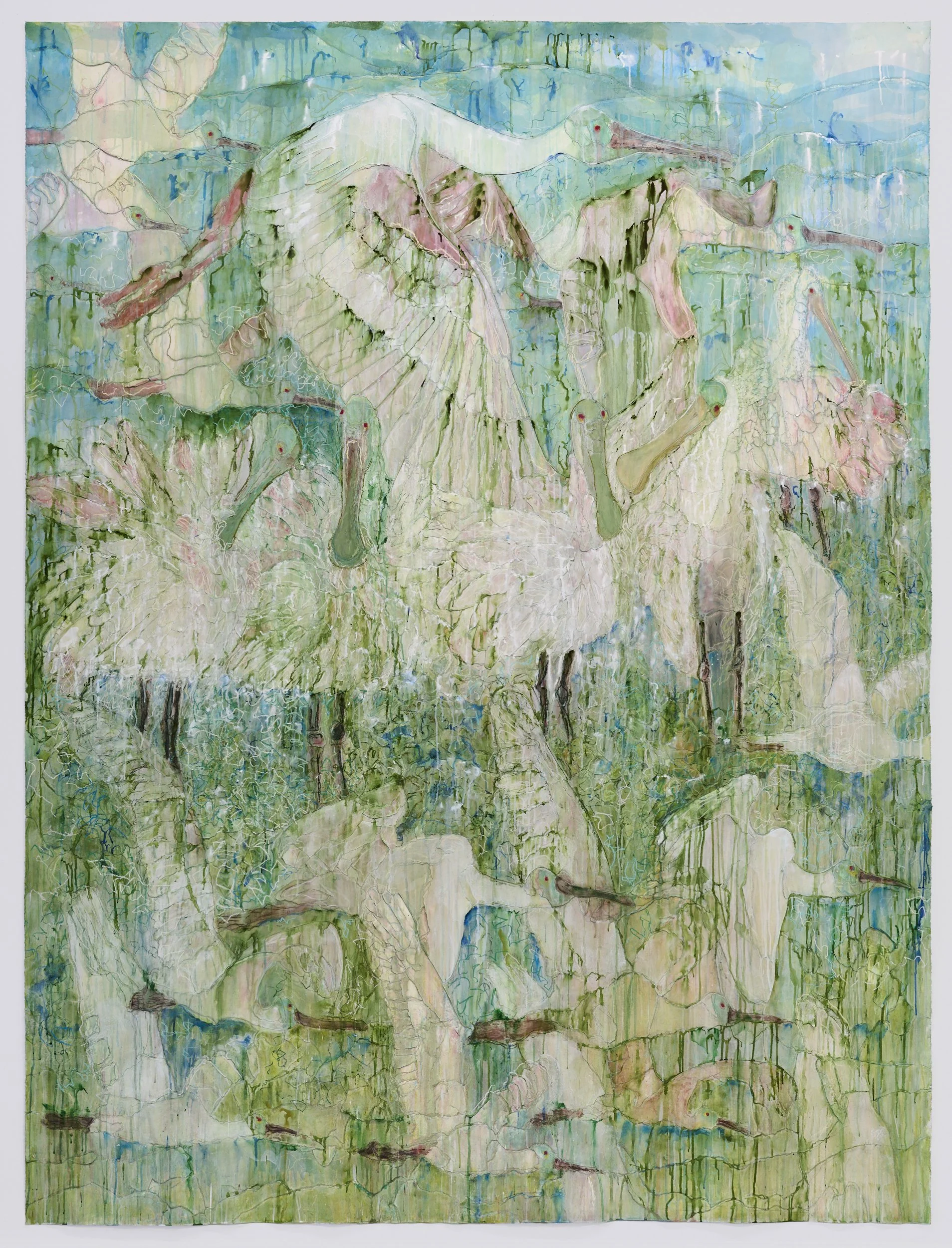 SUNRISE - ROSEATE SPOONBILLS 