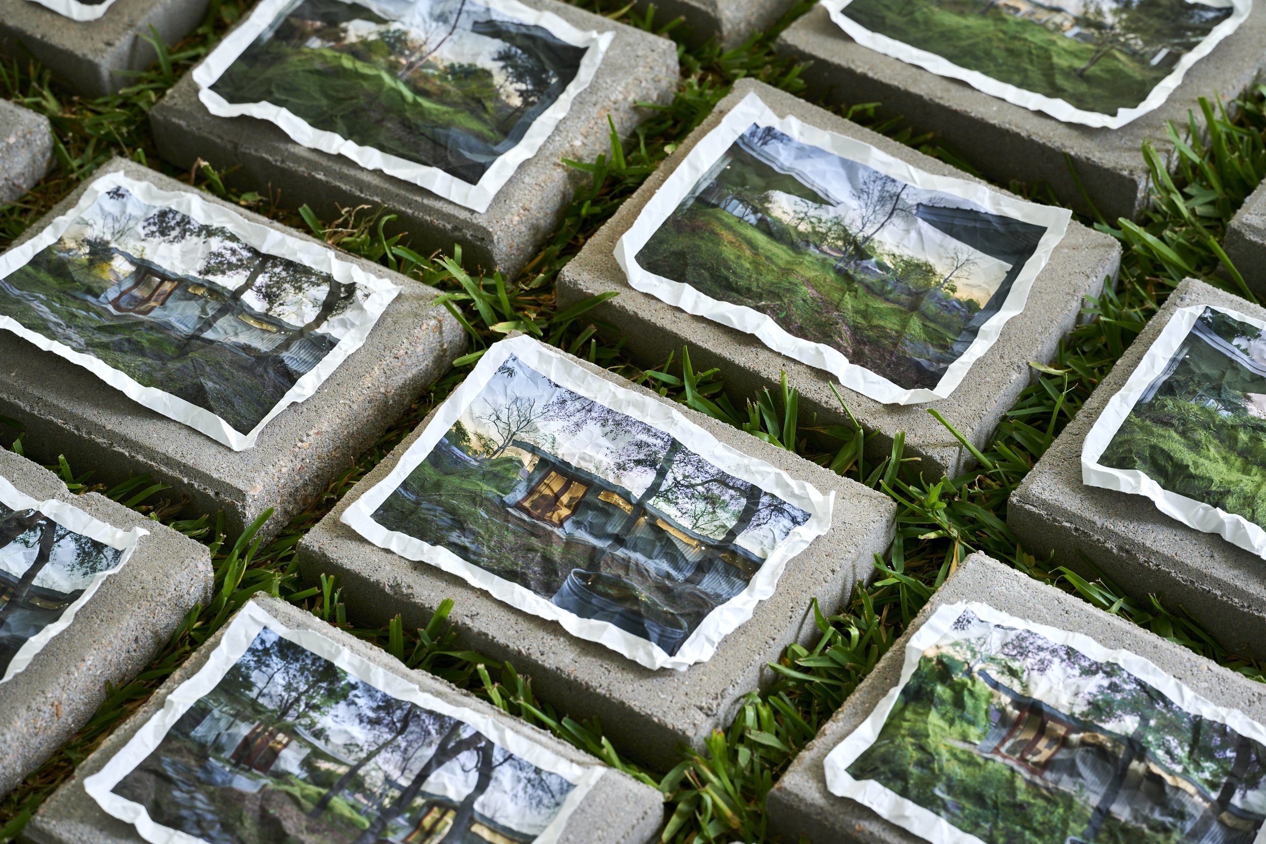 Sequel: The First Growing Season - detail 