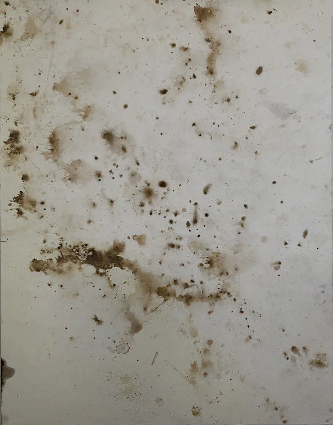 30 Days of Summer (Oak)  Gathered marks, natural pigment on paper mounted on panel,   11” x 14”, 2019