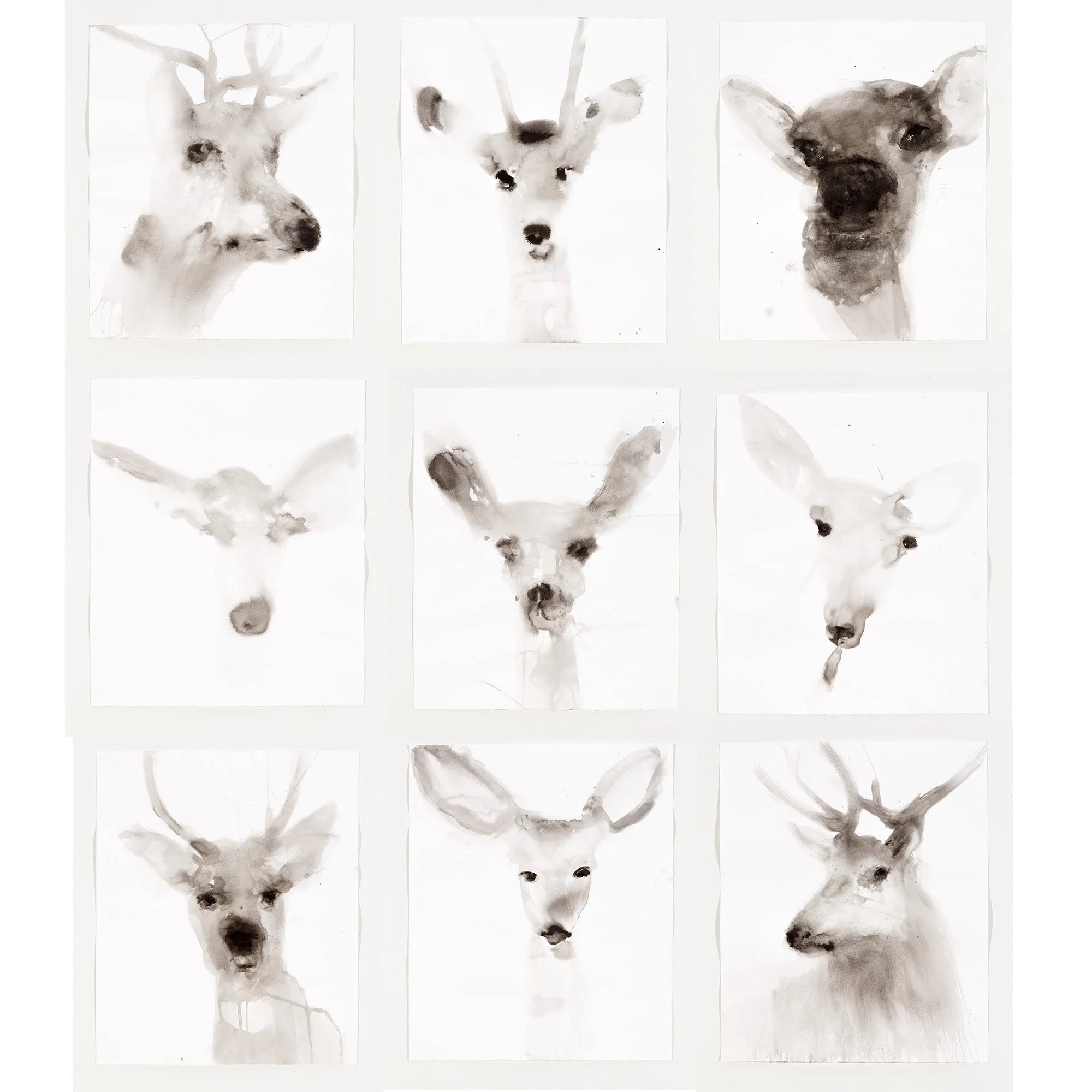 TTG_The Deer Grid-1 copy.jpg
