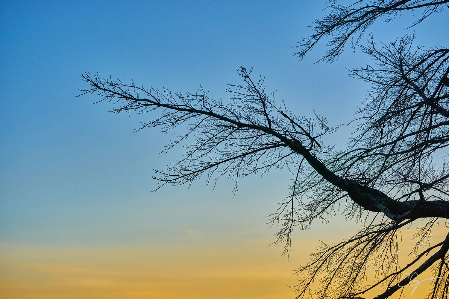 _DSC4896_NCarolina.jpg