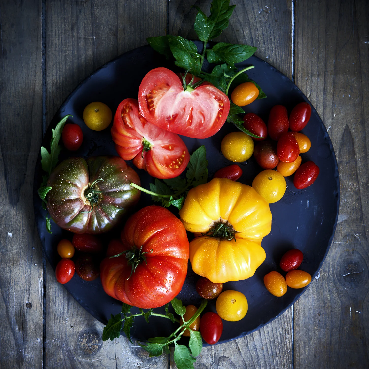 Tomatos Circle 5251.jpg