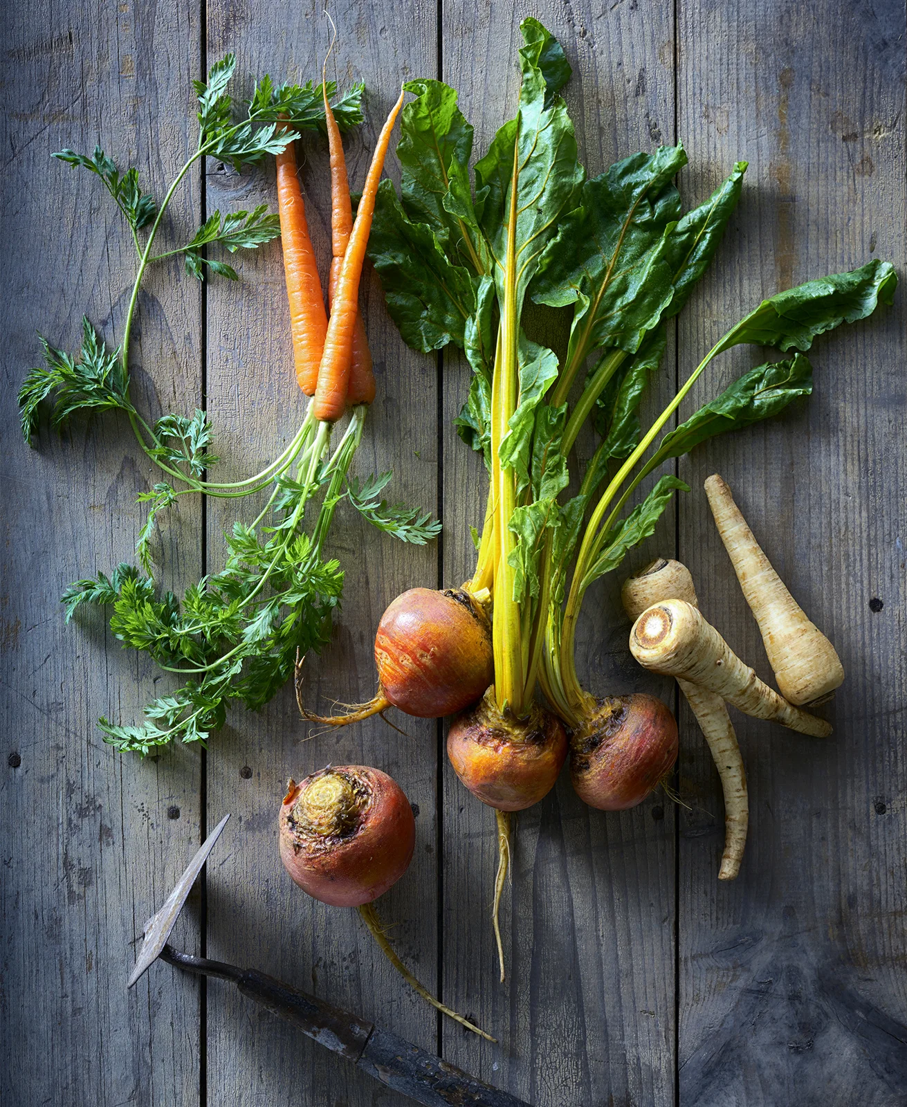 Veggie 1 4655.jpg