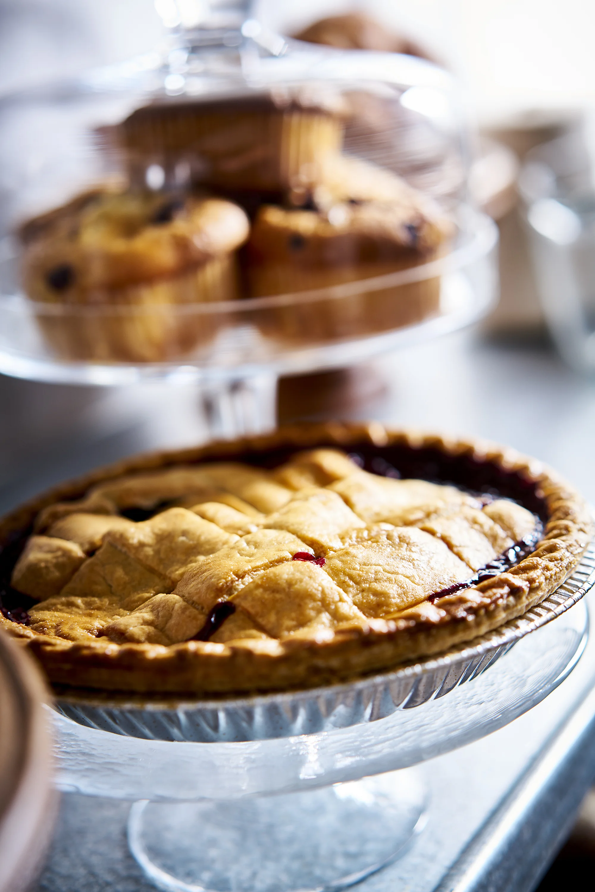 pie-0381.jpg