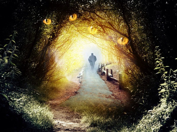 The Path of Illumination