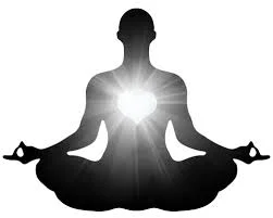 The Body Code - Journey to Optimal Health and Well-Being