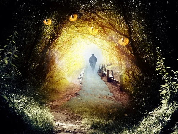 The Path of Illumination