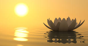 Meditation Class with Renee - Love Donations Accepted
