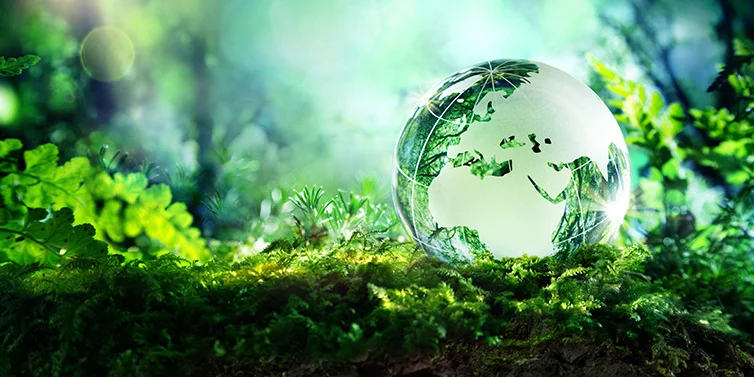 Earth Day ~ Musical Fundraiser for Sustain DuPage featuring Something Different
