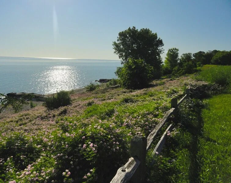 14th Annual Women's Empowerment Retreat-Come for the view, stay for the power!