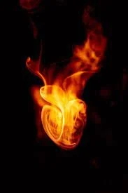 Heart Of A Healer - The Mastery of Allowing Series