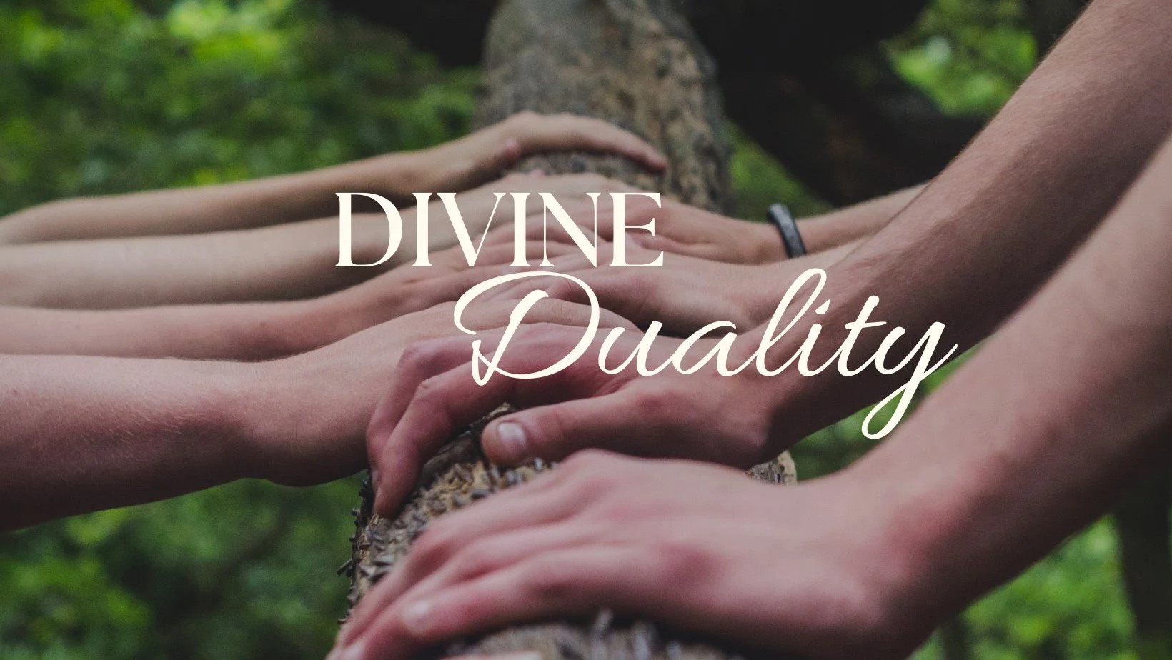 Divine Duality