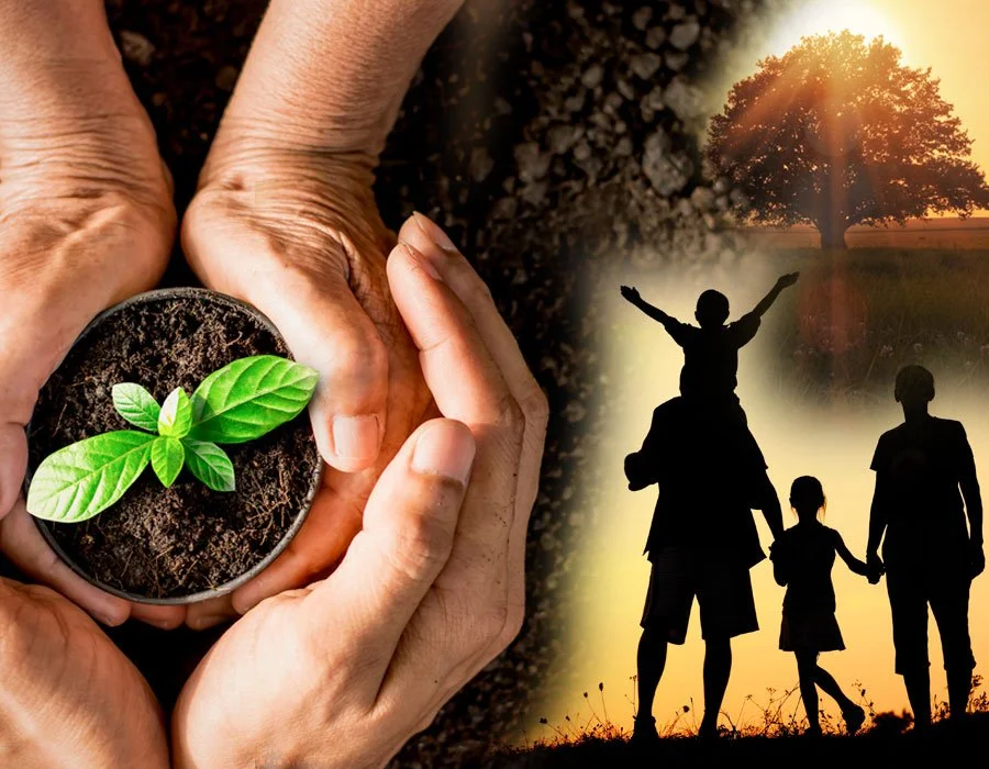 Cultivating Seeds of Intention