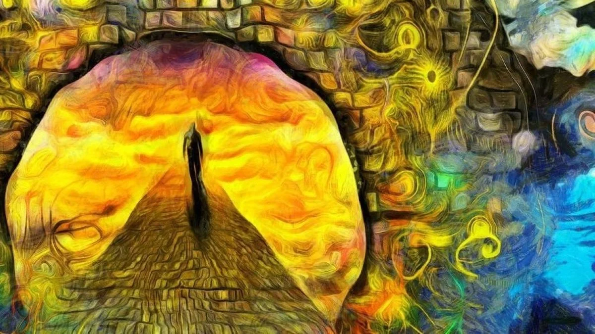 AWAKE: Shamanic Dream Circle 