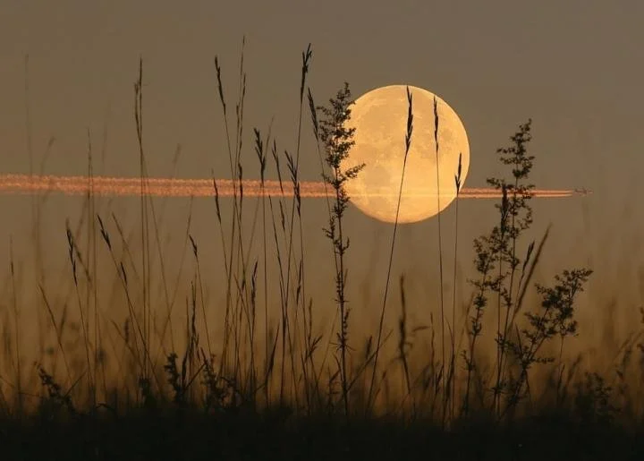 The Lakota Fall Equinox Celebration with a Sacred Fire Ceremony for Abundance with Full Corn Moon Energy