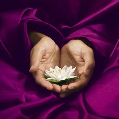 Community Healing Energy Share