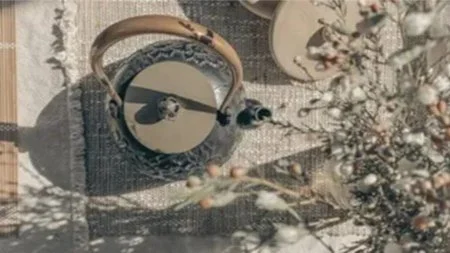 Healing with Sacred Plant Spirit Medicine Energy and a Sage Tea Ceremony 