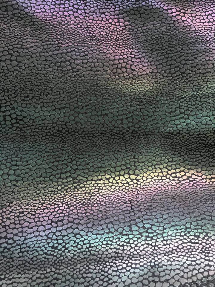 13726562_1053902601312627_6957781970714486266_n.jpg