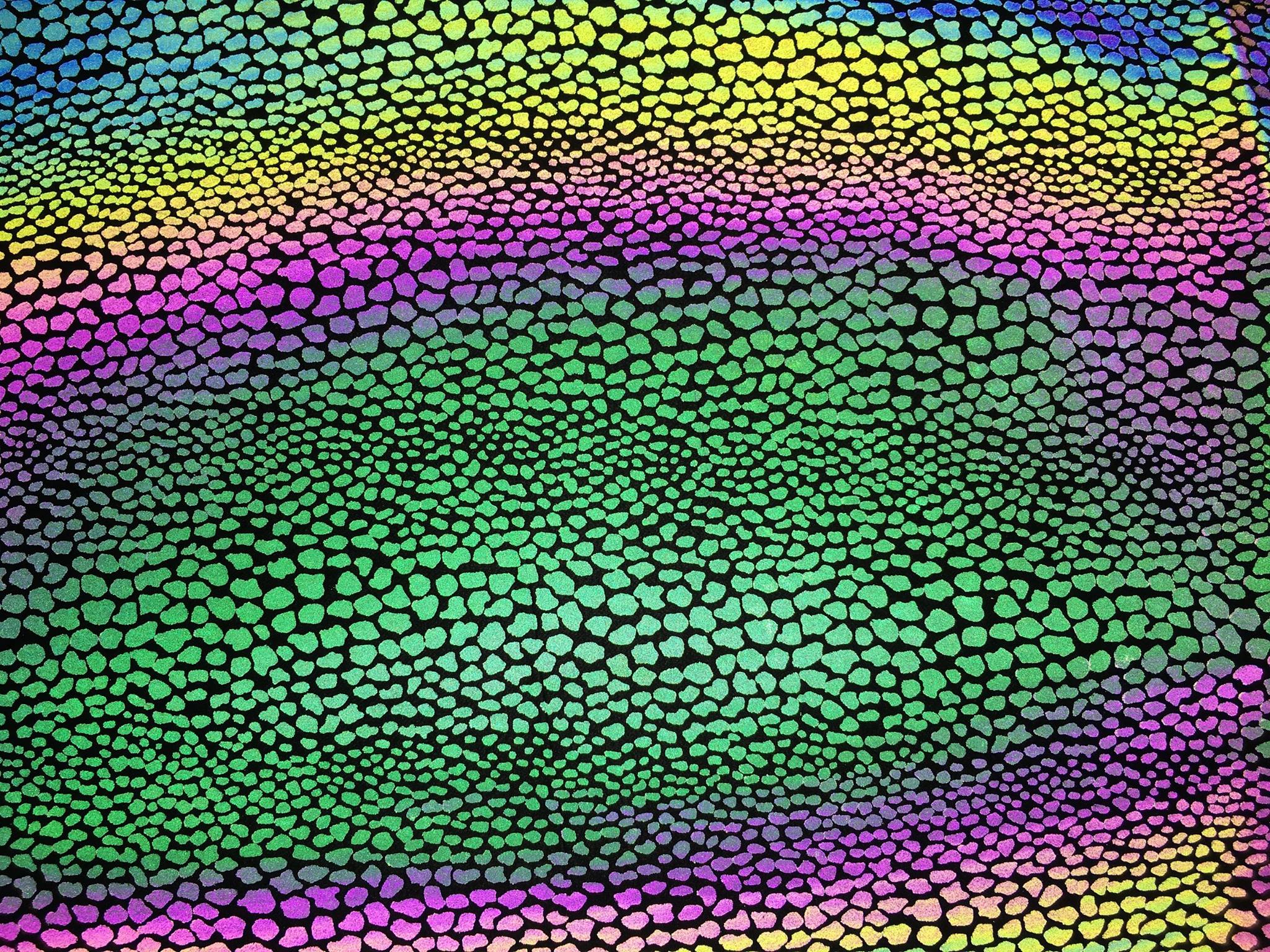 13737701_1053902637979290_6411329099414582850_o.jpg