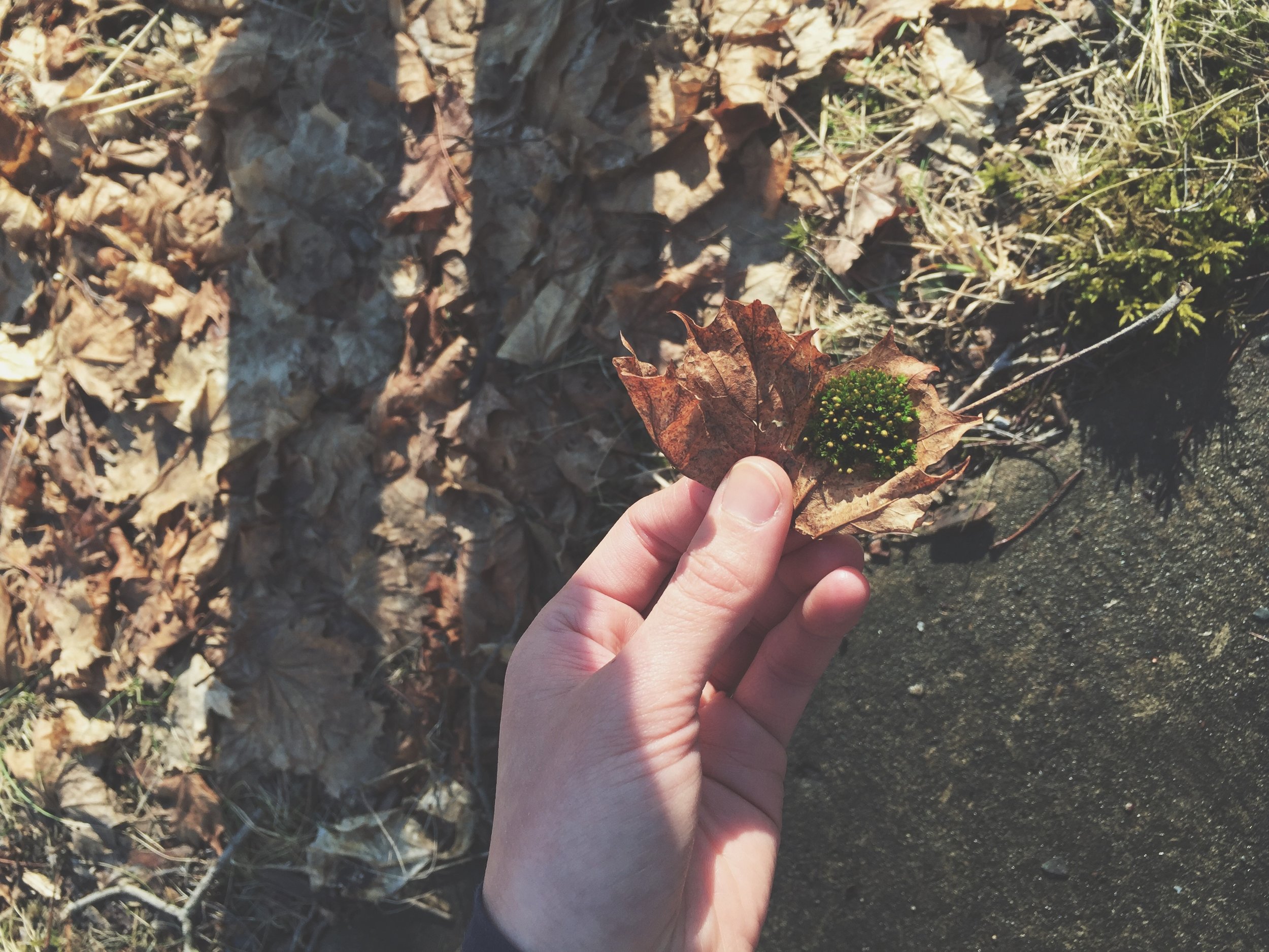 Mary was stoked for the moss on this leaf