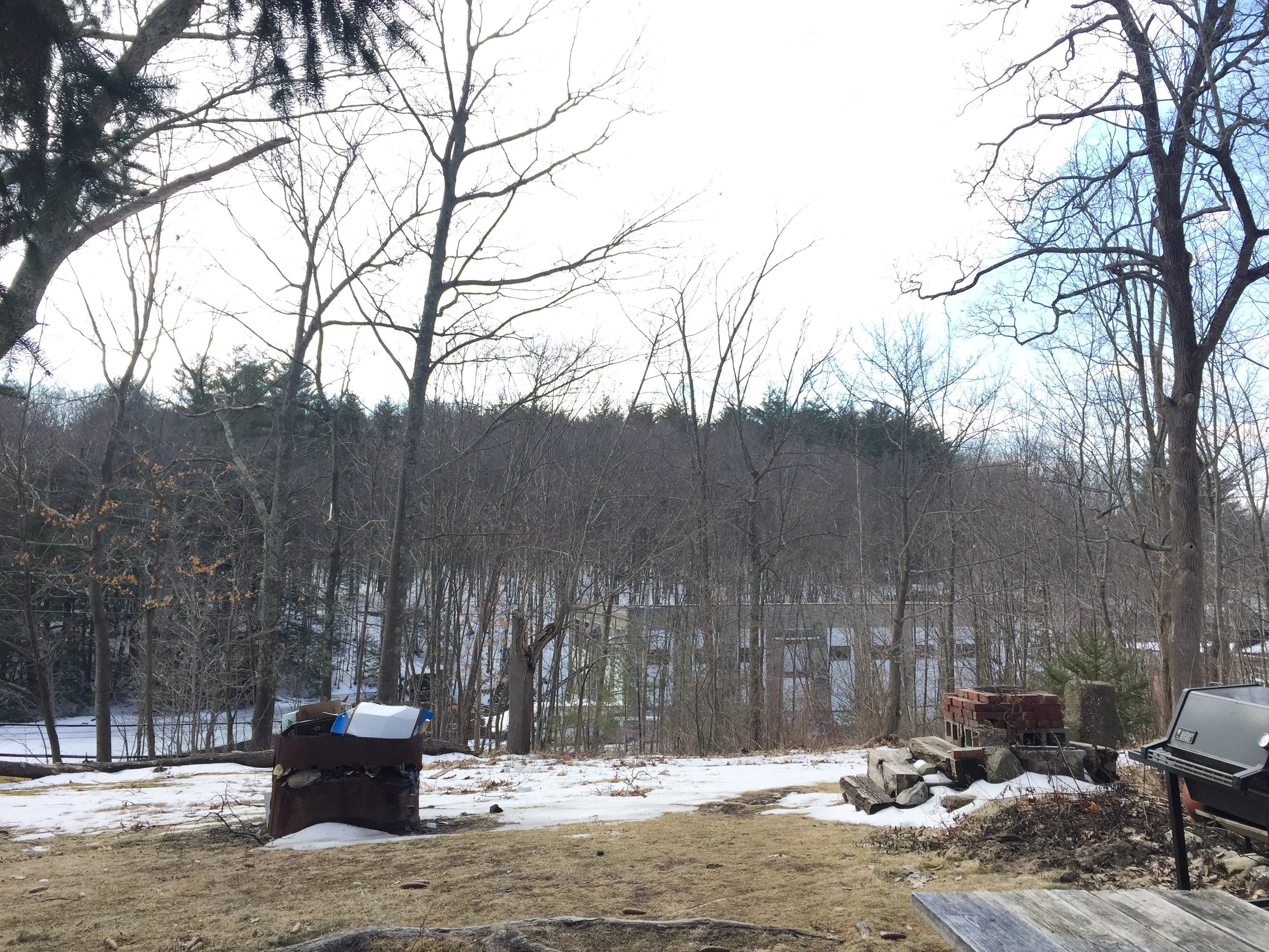 View from the house