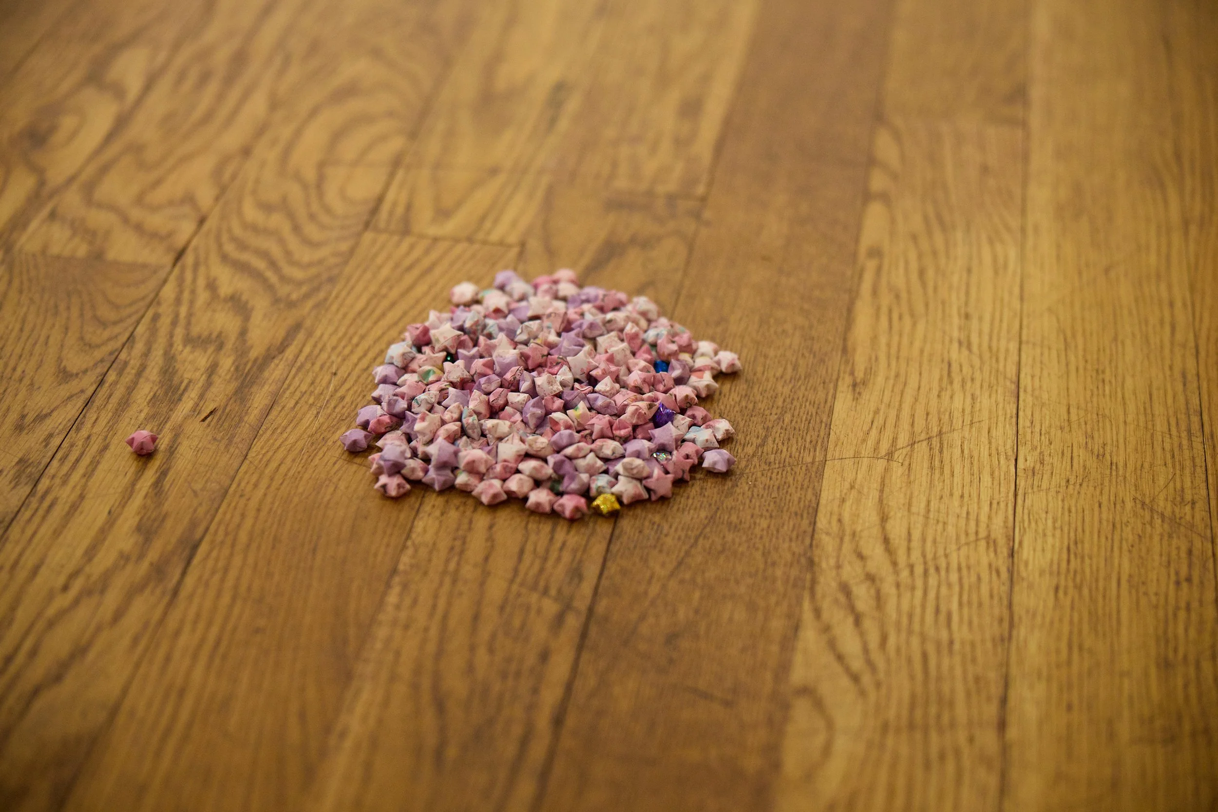 photo by Eric Hudgman