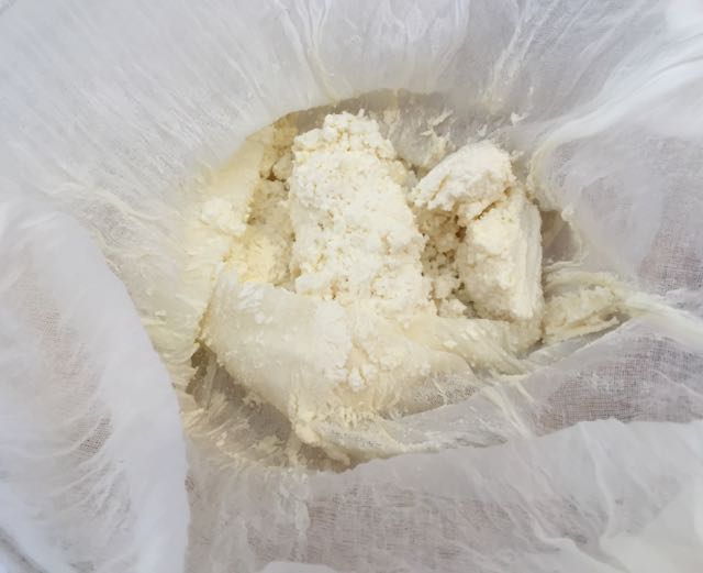 Look! We have curds!