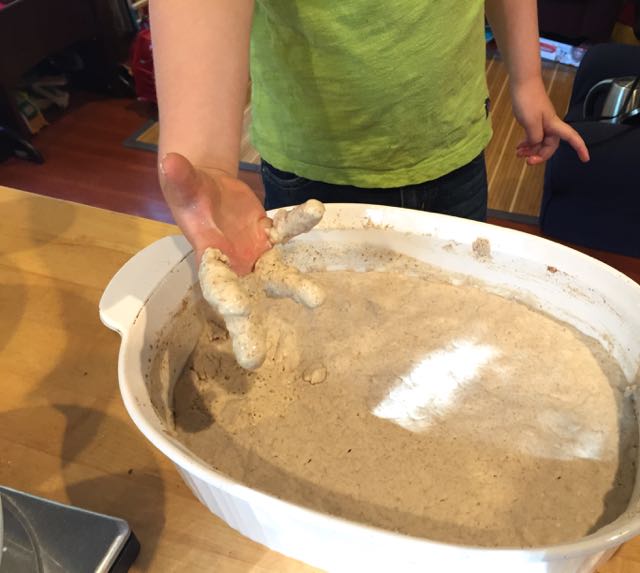  On Day 5, we checked the texture, and we were ready to strengthen our starter in preparation for baking.   