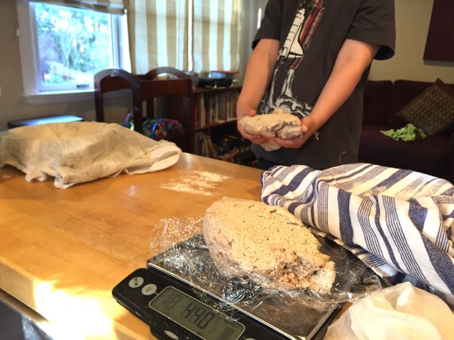  I prepped the dough after Wyatt was in bed and let it sit overnight. In the morning, we divided our dough for two loaves.     