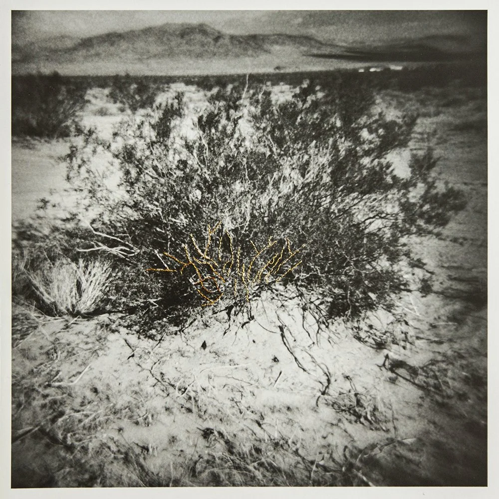 MKarimi-On Being Here-3.jpg