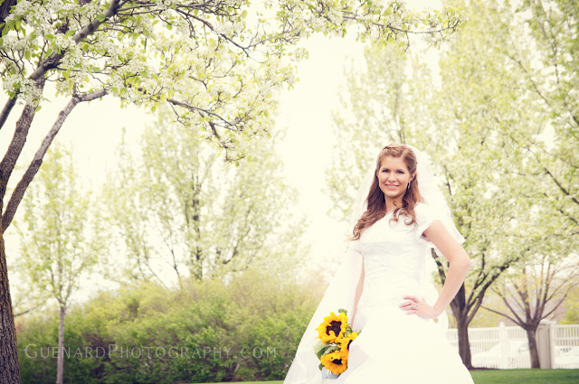 Erin & Steve