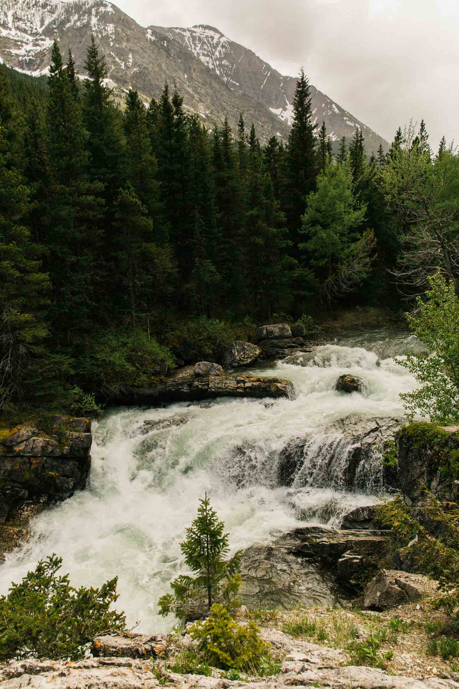 What to do in Waterton Photographer Jennie Guenard