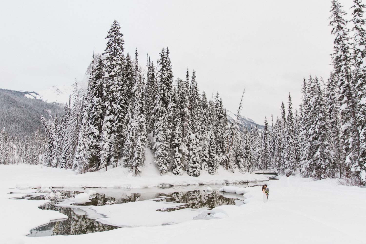 Emerald Lake Elopement Photographer British Columbia How to Elope