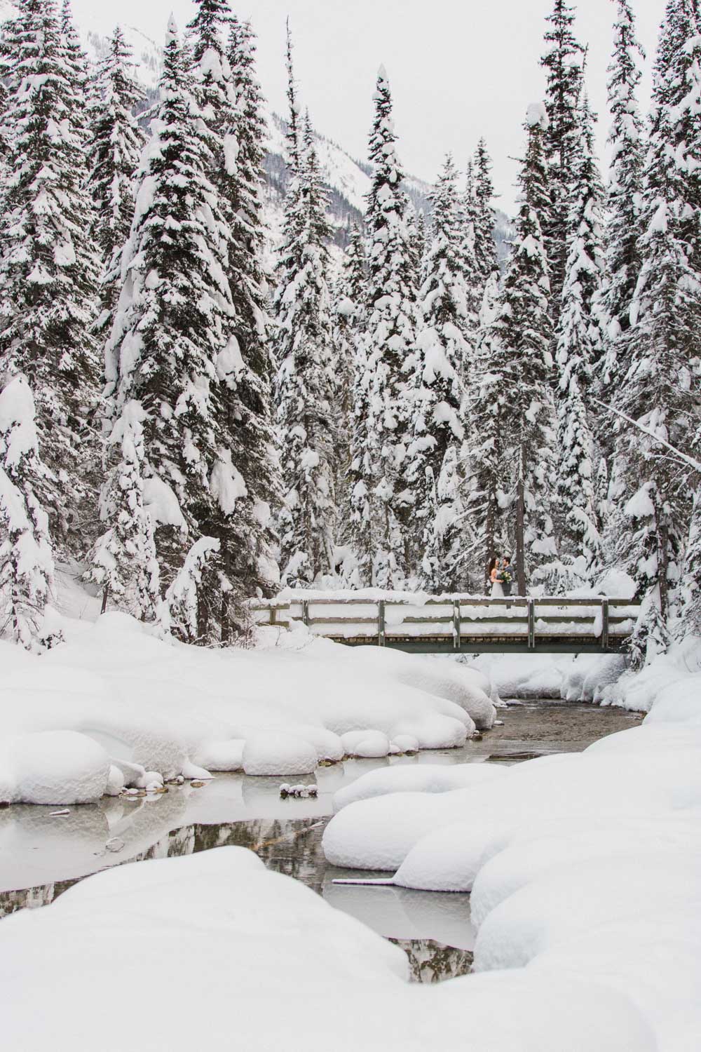 Emerald Lake Elopement Photographer British Columbia How to Elope