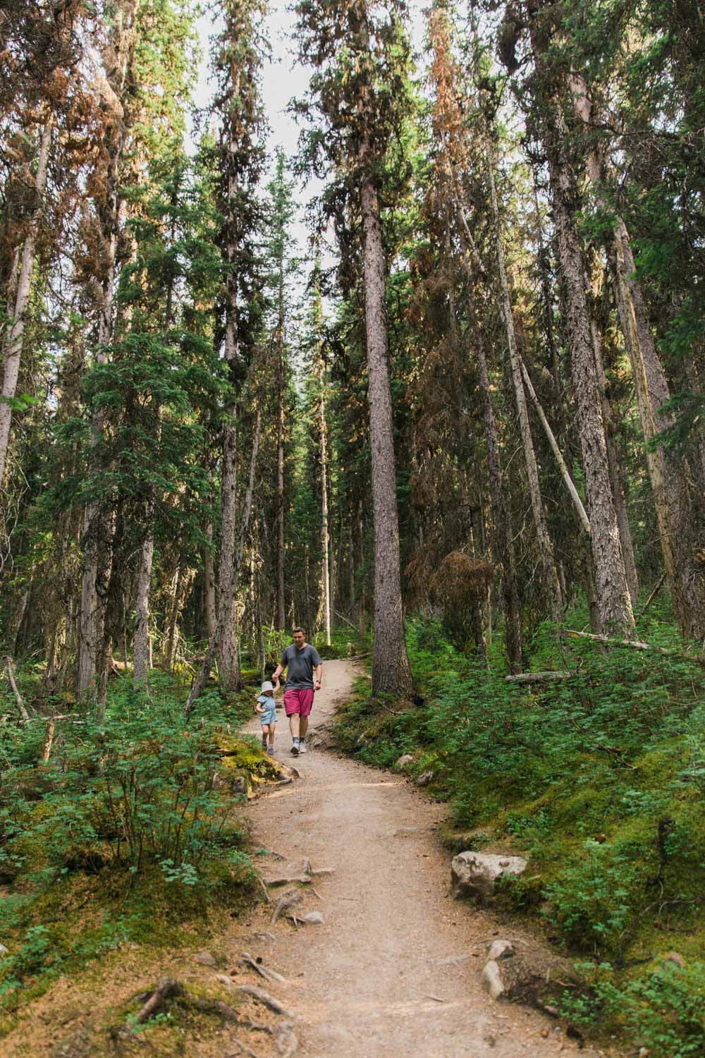 Easy Hike, Hiking with kids at Lake Louise Jennie Guenard Photography Lake Louise Photographer Fairview Lookout