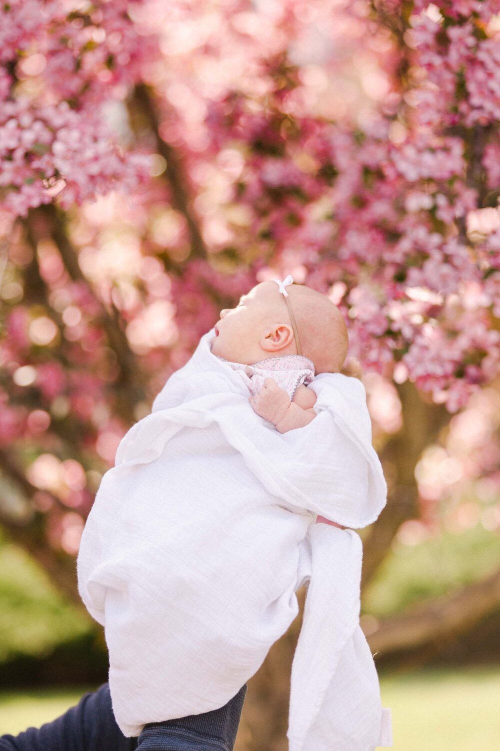 Calgary Outdoor Newborn Photographer Jennie Guenard Photography-8.jpg