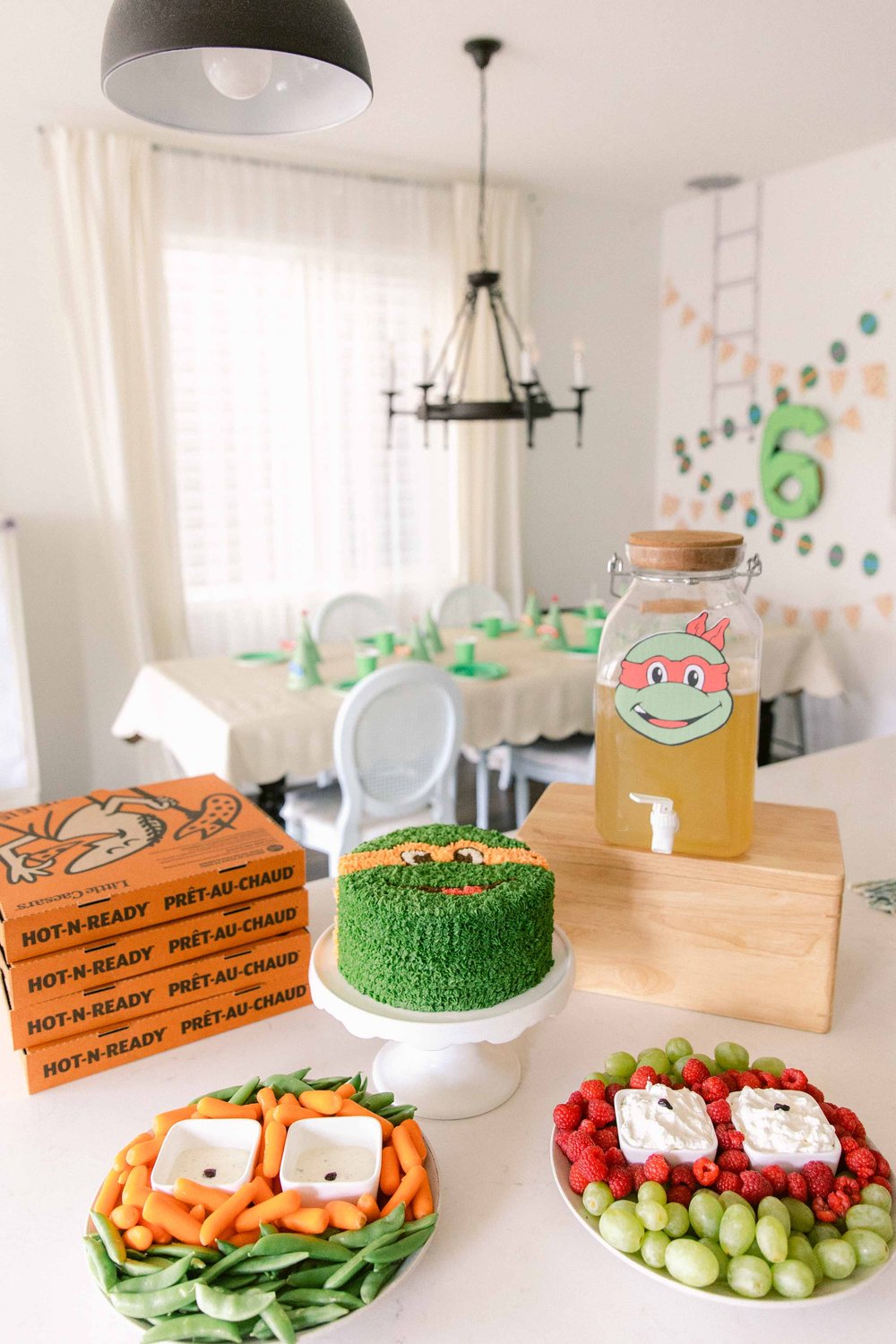 Teenage Mutant Ninja Turtle Birthday Party Ideas and Inspiration Calgary Jennie Guenard Photography