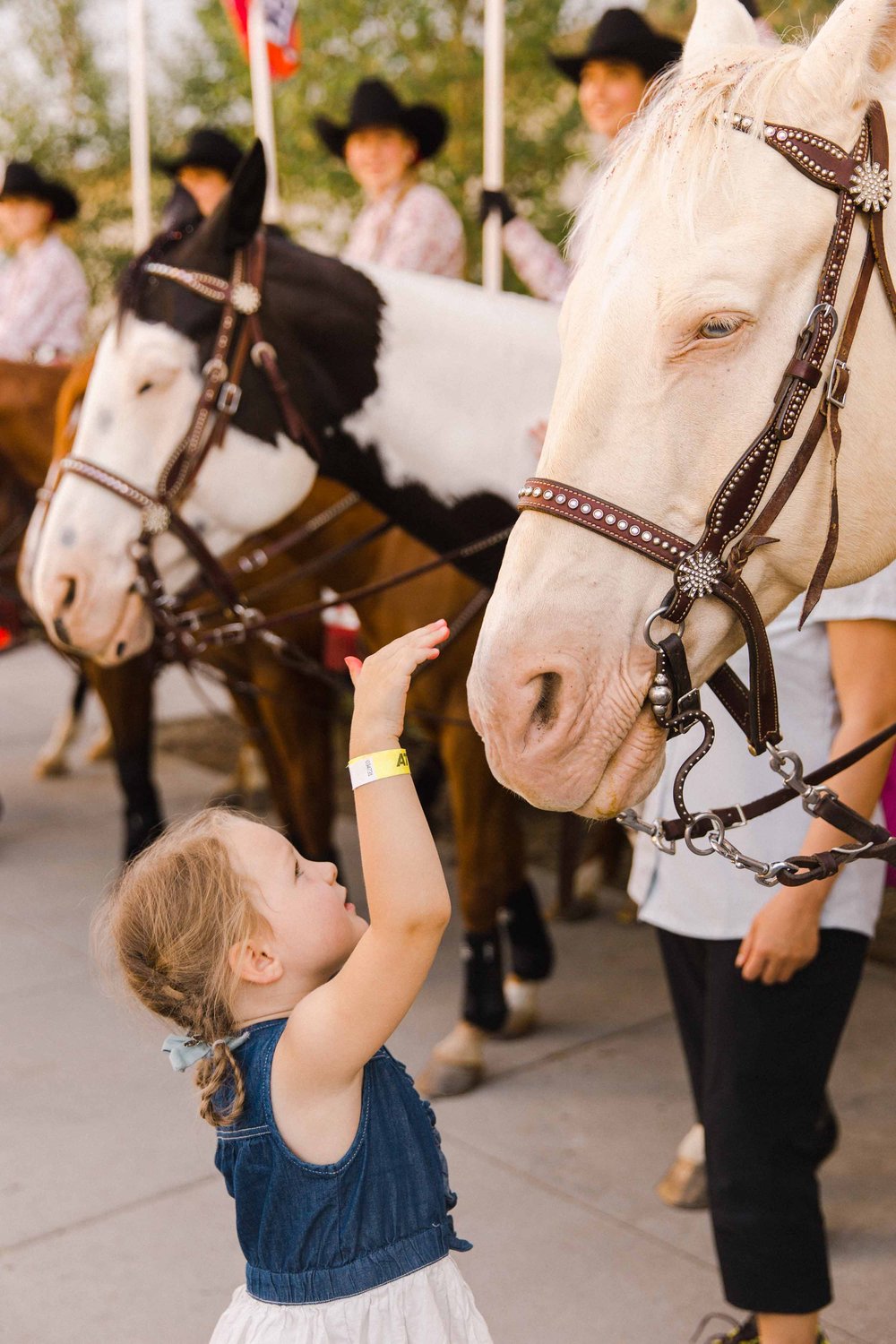 Showriders Calgary Stampede 10 Best Place to Take Instagrammable Photos