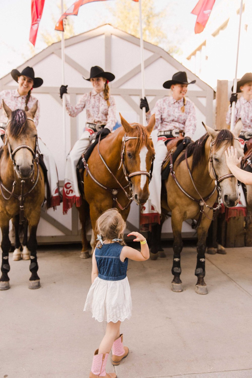 Showriders Calgary Stampede 10 Best Place to Take Instagrammable Photos