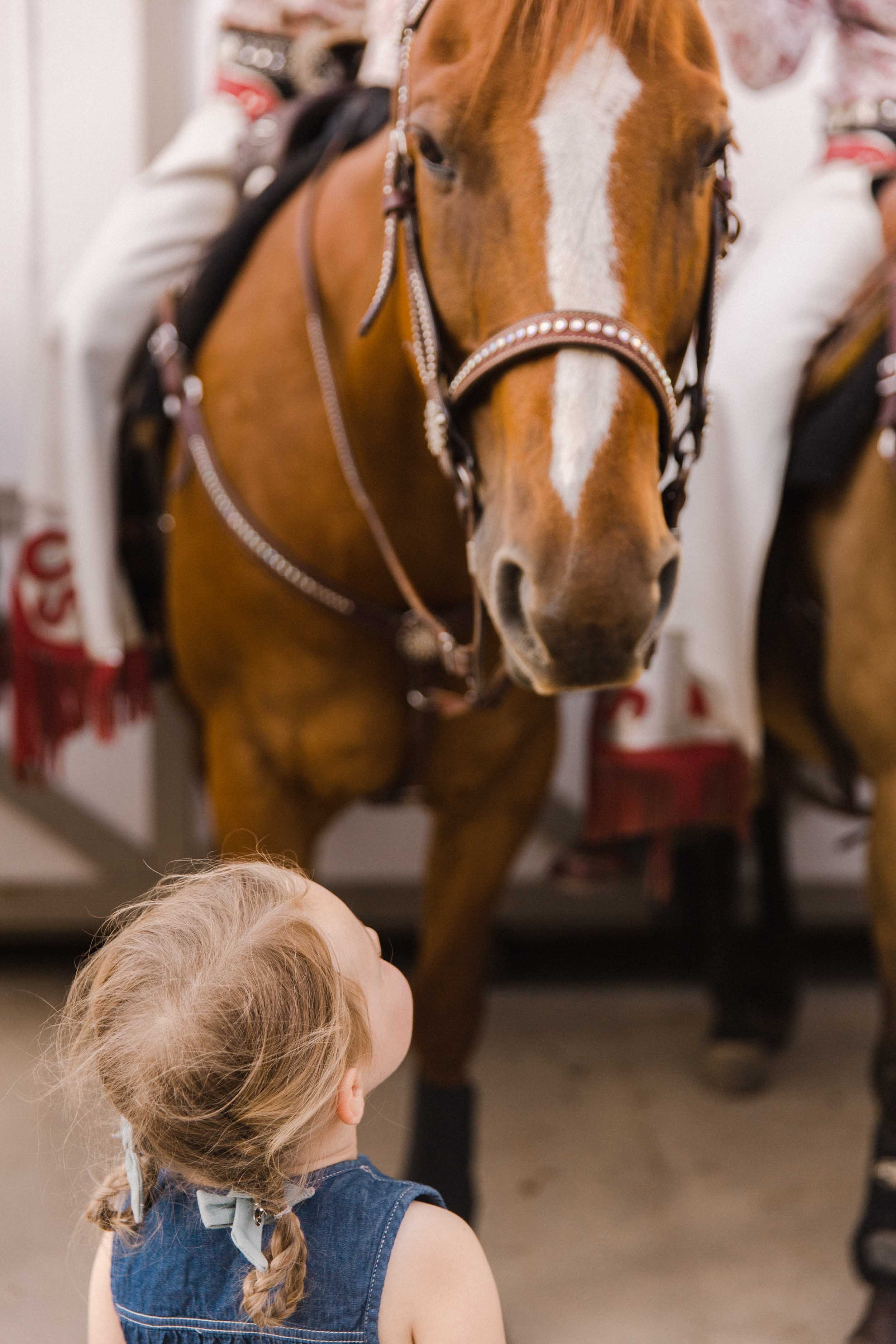 Showriders Calgary Stampede 10 Best Place to Take Instagrammable Photos