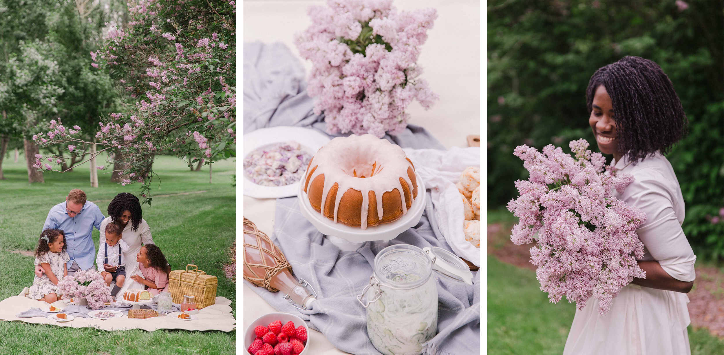 Multi-cultural family picnic in Riley Park underneath Lilac bushes with pink frosted cake