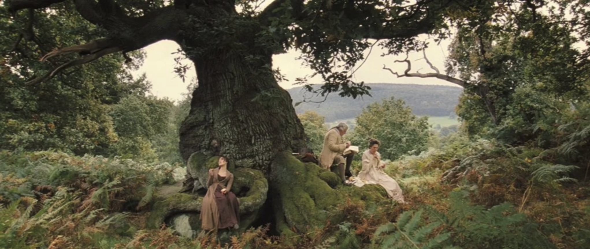 Pride and Prejudice 2005 colour palette breakdown and analyzation