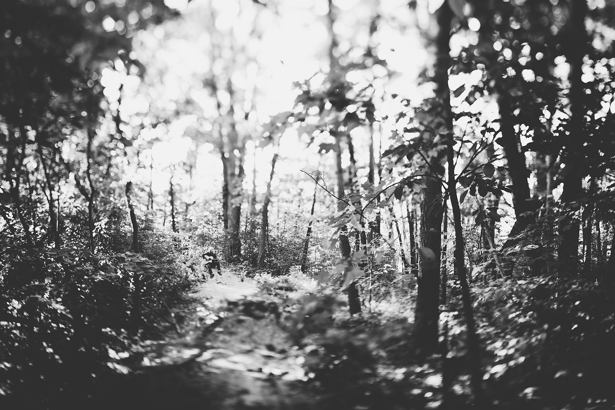 Photo by: Emilee Patrishkoff