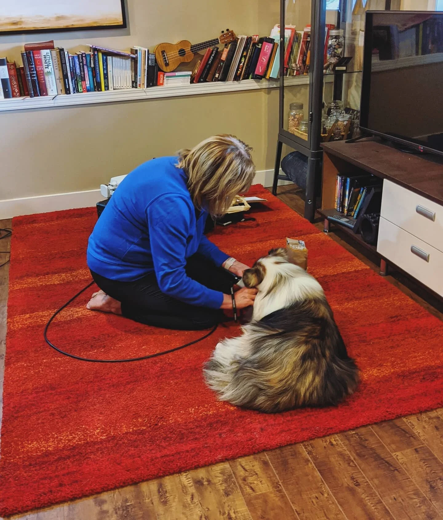 I can not recommend Laurie of Guardian Therapeutic Laser enough!

If your dog is suffering from arthritis, hip or elbow dysplasia, cruciate injury, stiffness, or lameness this is an excellent option for them. 

 She is working on my Saya, who is a se